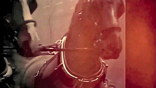 Dark Lantern Entertainment Presents Vintage Erotica