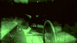 Vintage Erotic Art Collection