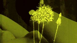 Vintage Erotic Art Collection