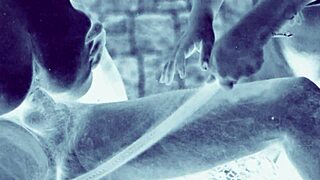 Vintage Erotic Art Collection