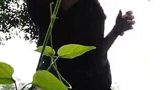 novinha de curitiba adora se mostrar pros machos no mato