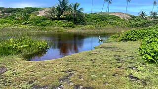 मिट्टी में कई युवा लोगों का लॉस्ट वीडियो ऑर्गी करते हुए