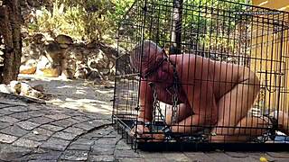 Dominatrix Mistress April Humiliates Man with Caning and Bondage in the House