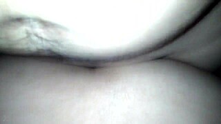 This video file from November 1, 2017, at 6:33 PM seems intriguing