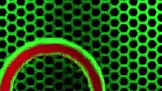 Libidinous Lauren Phillips Engages In Solo Masturbation