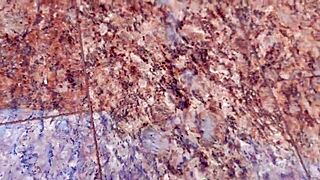 Brazilian amateur masturbates and cums huge load in garage