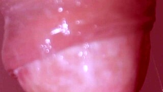 Intriguing Japanese girlfriend gives uncensored facial close up.