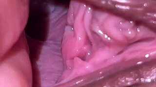 Jerking Off At Night And Looking At Holes