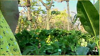 Wifey flaunts big tits in cute summer dress outdoors