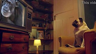 I masturbate Amy Douxxx on the couch with a vibrator.