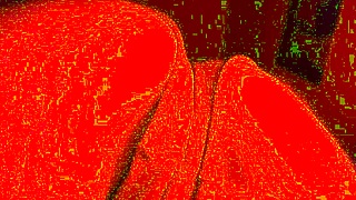 Face down fucking a transmanpussy ftm with close up details