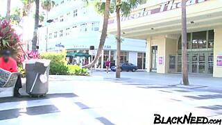 interracial sex video with a busty blonde licking and deepthroating