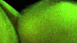 i hooked up with my ex and she screamed during hardcore ass pounding 😱