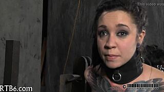 Discover Top Babe Bottoms in Bold Collection