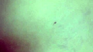 She bent over for intense doggystyle fucking