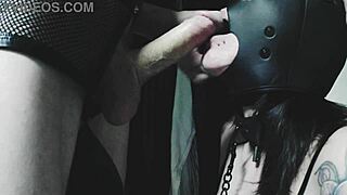 my little bitch whipped for slut tits