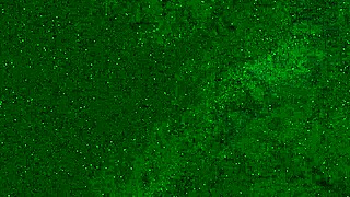 i'm a crazy 18 yo peeing on public beach