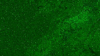 i'm a crazy 18 yo peeing on public beach