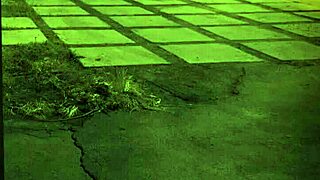 Want Trampling Domination?