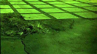 Want Trampling Domination?