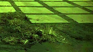 Want Trampling Domination?