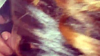 her blowjob sucking cock skills