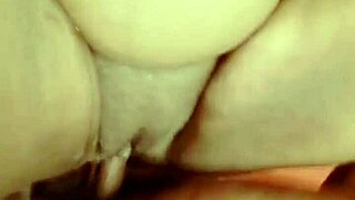 Sundaydogood614 Update 530 - October 12 2024