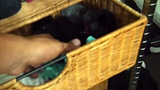 danica dillion gives her stepson panties and shows her milf pussy