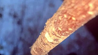 Having an encounter with a real life witch in the woods