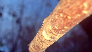 Having an encounter with a real life witch in the woods