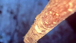 Having an encounter with a real life witch in the woods