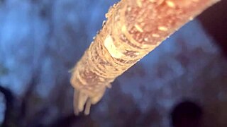 Having an encounter with a real life witch in the woods