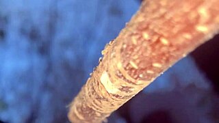 Having an encounter with a real life witch in the woods