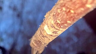 Having an encounter with a real life witch in the woods