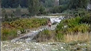 suzisoumise says, 'watch me squirt while working out nude in public?'