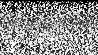 giggles' barefoot feet get all sandy at the beach