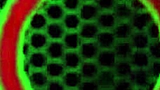 sara jay wishes you were there, she dildo fucks her mature cunt with big clit