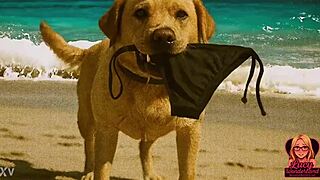 Lucy's Intense Nude Beach Exposure in AI-Generated ENF Story