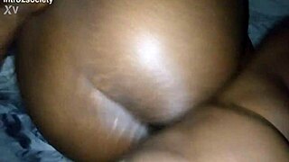 tryout 2 pt3 xvideos restored content with neighbors and flashing