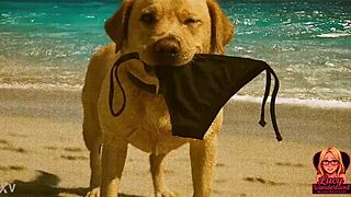 Lucy's Intense Nude Beach Exposure in AI-Generated ENF Story