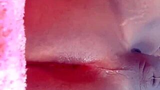 Cuzinho Trans Meladinho With Anal, Crossdressing, Toys, Dildo, Assfucking