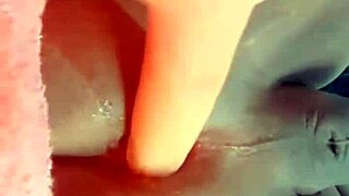 Cuzinho Trans Meladinho With Anal, Crossdressing, Toys, Dildo, Assfucking