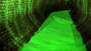 Once in a lifetime walkthrough review