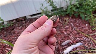 Hot Step Mom Brianna Beach Makes You Get A Job With Monster Cock