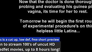 The New Immigration Policy - Lilith Rose