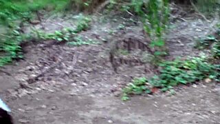 slaves get humiliated riding as human horses for mistress