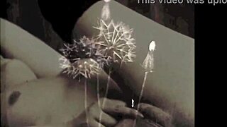 Vintage erotica from retro times.