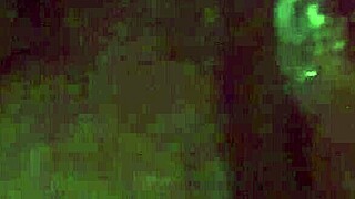 hot wet latina creamy pussy play 💦