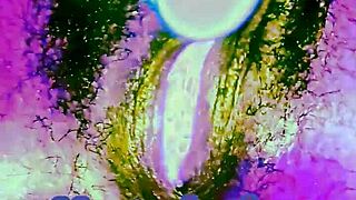 out of this world self-pleasure session two