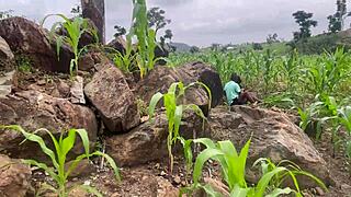 We went to the farm to fuck part 2